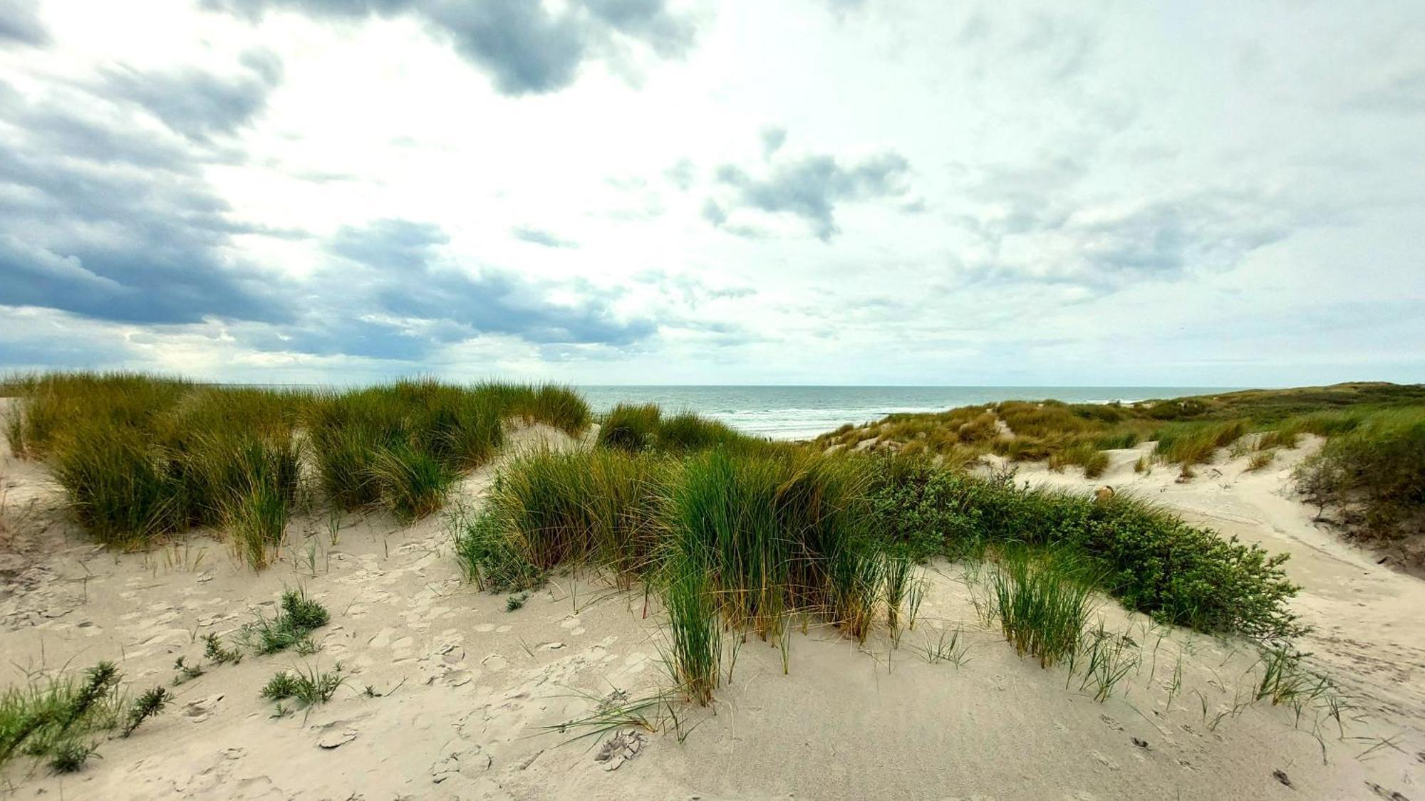 Vakantiehuis Jade Bruinisse Bagian luar foto